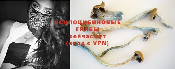 шишки Киреевск