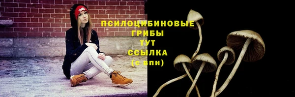 стафф Киренск