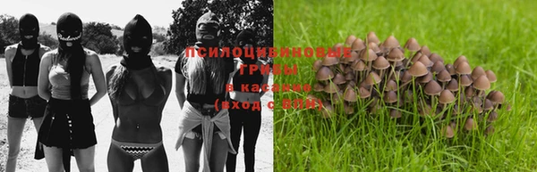 шишки Киреевск