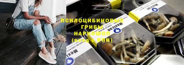 винт Кинешма